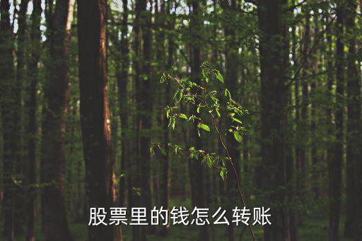 股票里的钱怎么转账