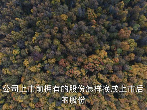 公司上市前拥有的股份怎样换成上市后的股份
