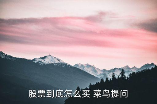 股票到底怎么买 菜鸟提问