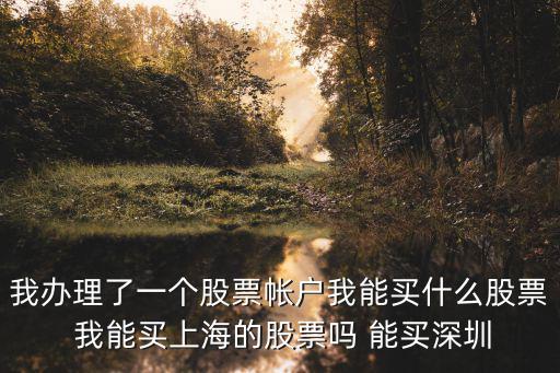 新人开户能买什么股票，新开户的股民可以买哪些股票