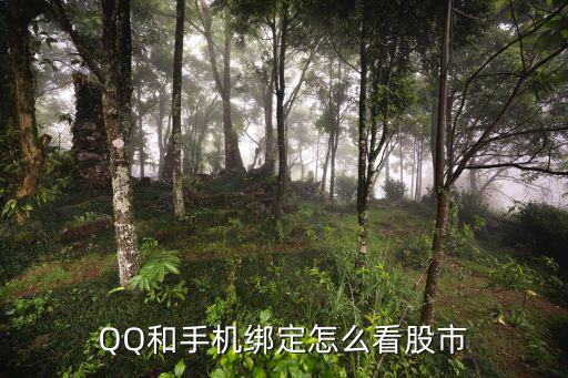 QQ和手机绑定怎么看股市