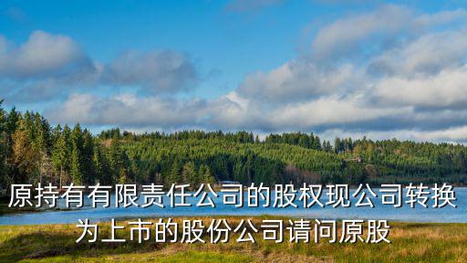 股权怎么转换为股票，公司上市前拥有的股份怎样换成上市后的股份