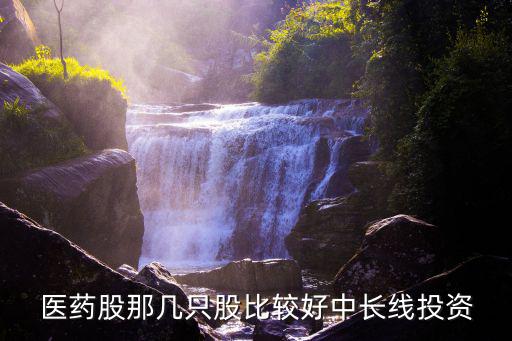 医药股那几只股比较好中长线投资