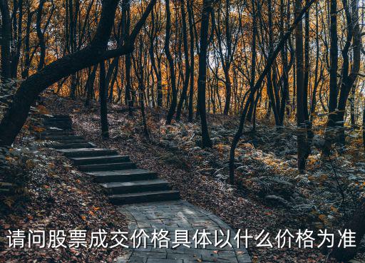 请问股票成交价格具体以什么价格为准
