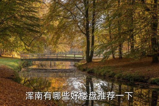 浑南车位怎么买股票推荐，沈阳离浑南新区最近的股票交易所在哪里