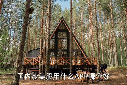 国内炒美股用什么APP哪个好