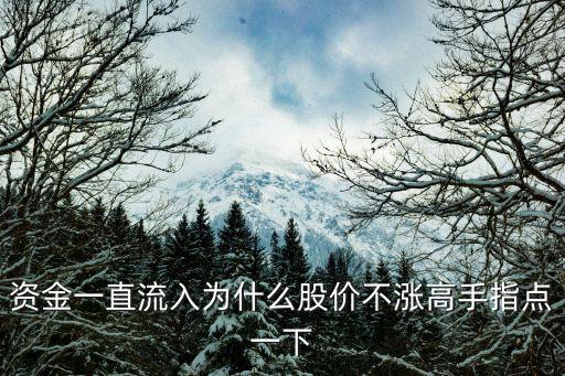 资金一直流入为什么股价不涨高手指点一下