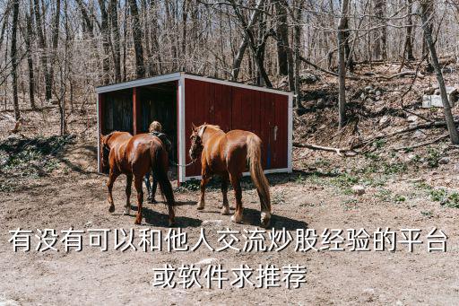 股票分享交流用什么软件，有没有可以和他人交流炒股经验的平台或软件求推荐