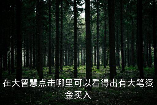 股票大笔买入怎么看，在大智慧点击哪里可以看得出有大笔资金买入