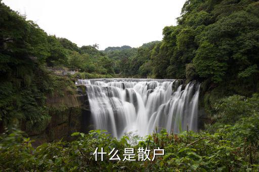 什么是散户