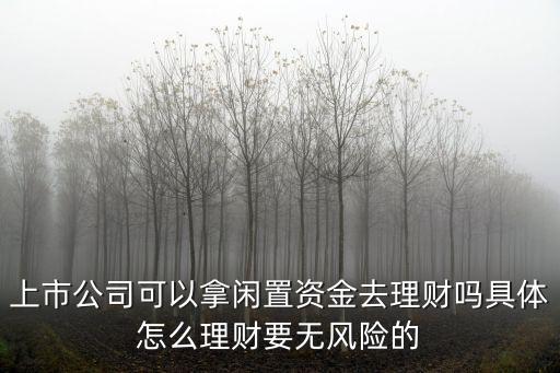 上市公司可以拿闲置资金去理财吗具体怎么理财要无风险的
