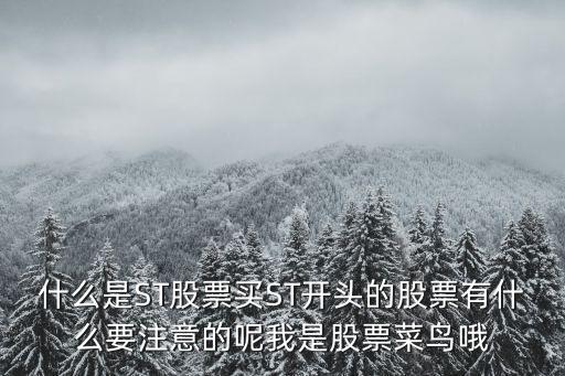 什么是ST股票买ST开头的股票有什么要注意的呢我是股票菜鸟哦