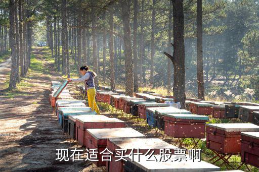 现在适合买什么股票啊