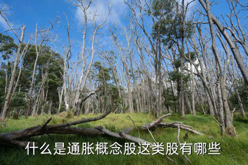 股票大通胀什么意思，通胀概念股与抗通胀概念股是一样的吗有什么区别详细点哈