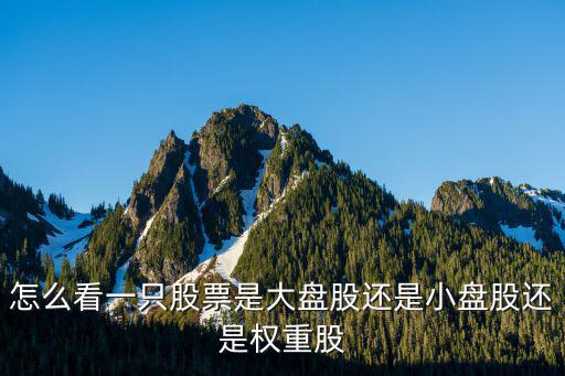 怎么看一只股票是大盘股还是小盘股还是权重股