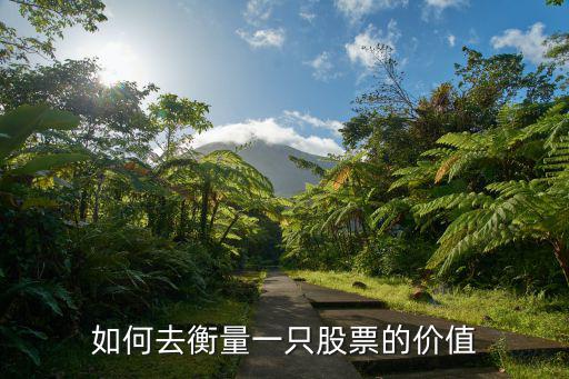 如何去衡量一只股票的价值