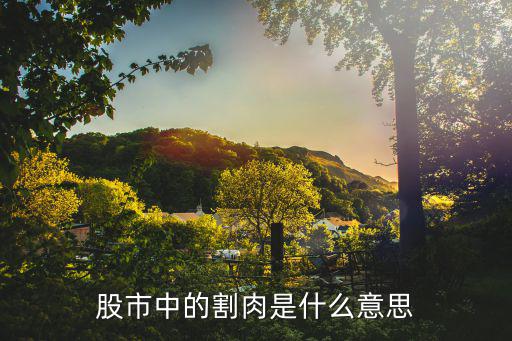 股市中的割肉是什么意思