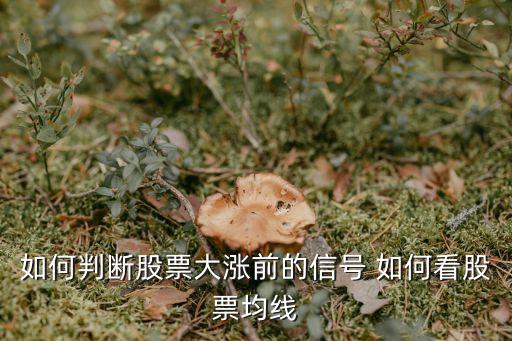 如何判断股票大涨前的信号 如何看股票均线