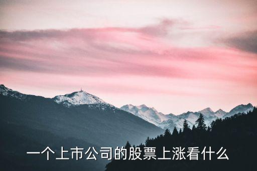 股票增长是看什么指标，一个上市公司的股票上涨看什么