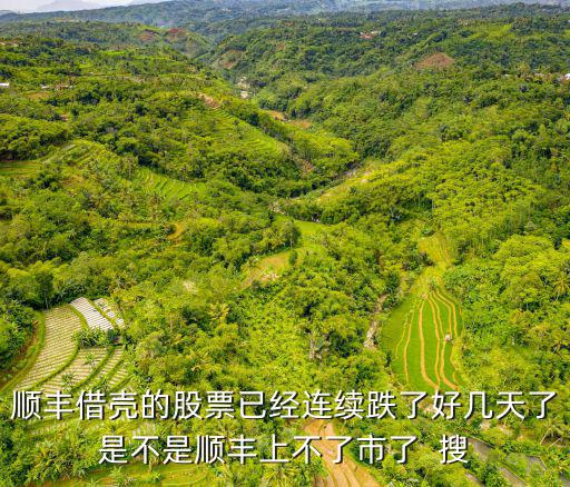 顺丰借壳的股票已经连续跌了好几天了是不是顺丰上不了市了  搜