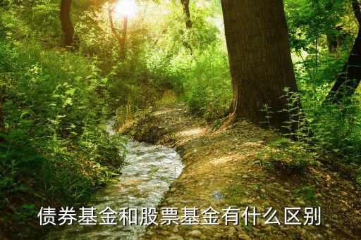 债券基金和股票基金有什么区别
