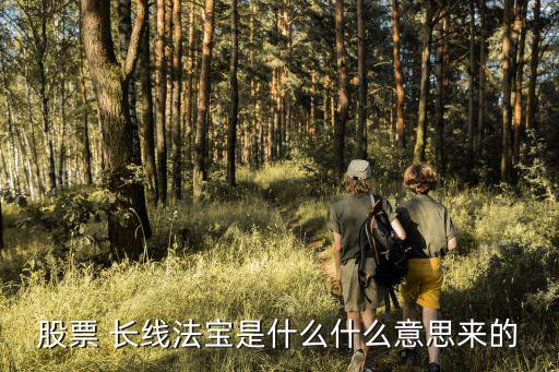 股票法宝是什么意思，股票 长线法宝是什么什么意思来的
