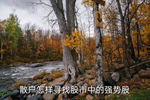 散户怎样寻找股市中的强势股