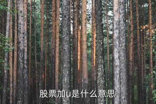 股票后u什么意思，股票后加u是什么意思