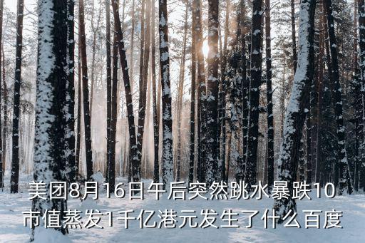 美团8月16日午后突然跳水暴跌10市值蒸发1千亿港元发生了什么百度
