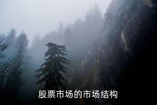 股票发行市场包括什么，什么是股票发行市场