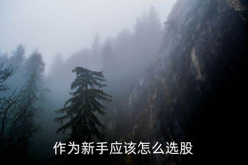 作为新手应该怎么选股