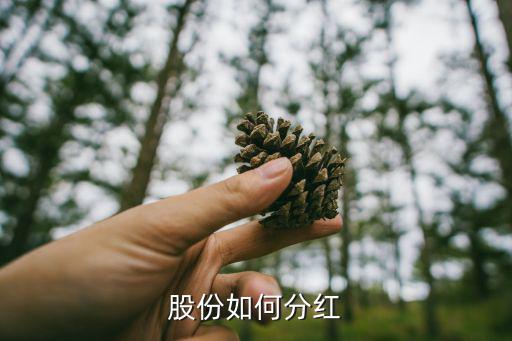 股份如何分红
