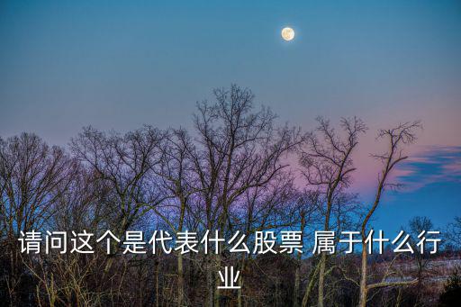 请问这个是代表什么股票 属于什么行业
