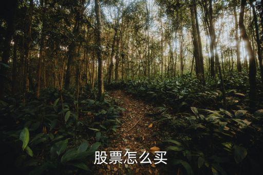 股票怎么投资怎么买入，想要购买股票做投资怎么流程