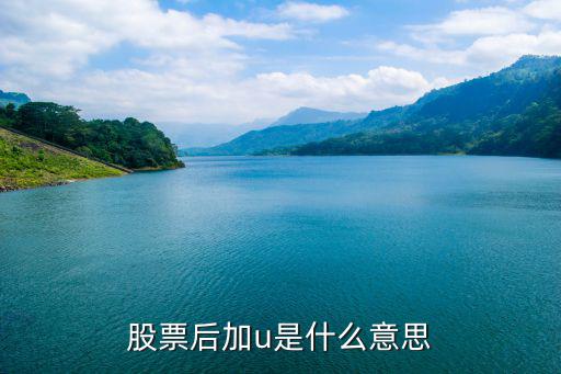 股票后加u是什么意思
