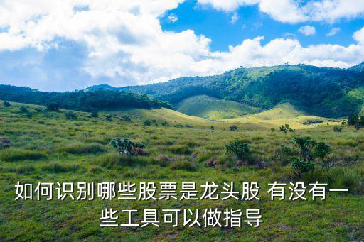 如何识别哪些股票是龙头股 有没有一些工具可以做指导