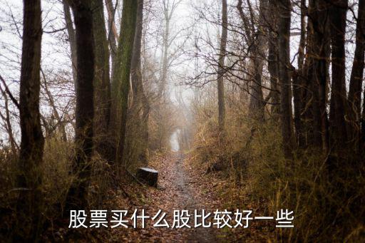 股票买什么股比较好一些