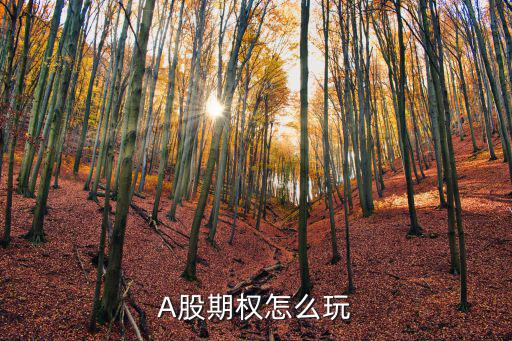 A股期权怎么玩