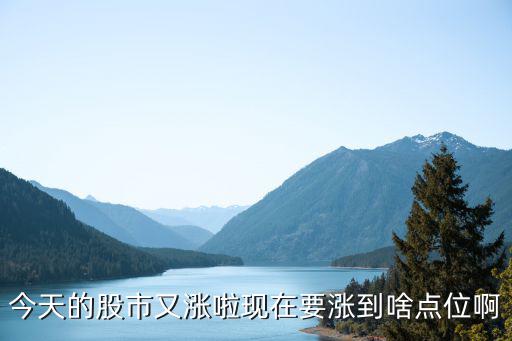 今天的股市又涨啦现在要涨到啥点位啊