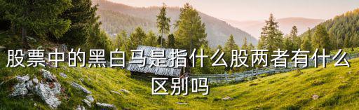 股票中的黑白马是指什么股两者有什么区别吗
