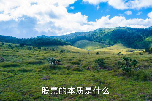 股票的本质是什么