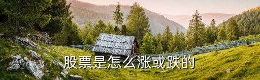 股票怎么涨怎么降，股票是怎么涨或跌的