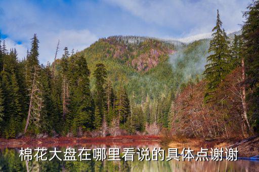 棉花股票怎么查，棉花概念龙头股票有哪些