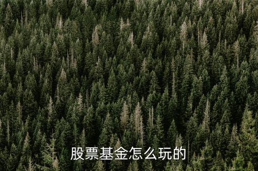 基金股票怎么玩，股票基金怎么玩的