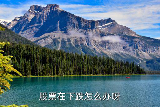 股票在下跌怎么办呀