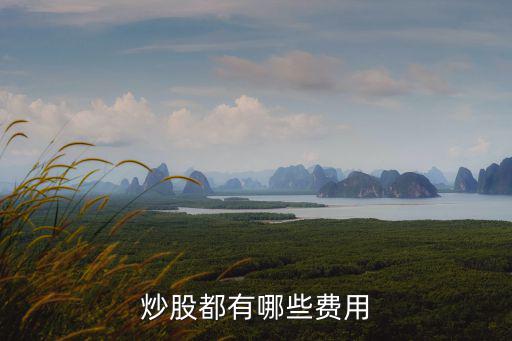 炒股都有哪些费用