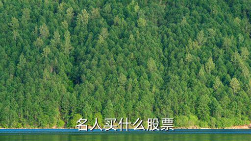名人买什么股票