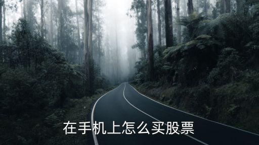 怎么买股票 手机，在手机上如何买股票 如何操作