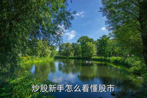 股票交易中怎么看股票，怎么在股票交易软件上怎么看自己的买的股票信息