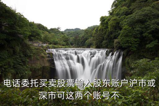 电话委托买卖股票输入股东账户沪市或深市可这两个账号不